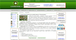 Desktop Screenshot of casinoreviewru.com
