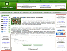 Tablet Screenshot of casinoreviewru.com